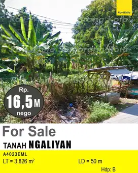 DIJUAL TANAH DI NGALIYAN A4023