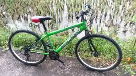 Wimcycle roadchamp bagus siap gowes
