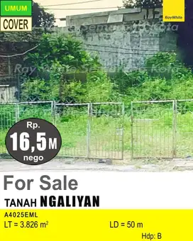 DIJUAL TANAH DI NGALIYAN A4025