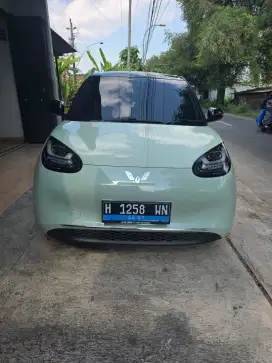 WULING BINGUO 410KM AC+DC