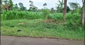 TANAH KEBUN PINGGIR JALAN BAROS ARJASARI