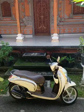 Honda Scoopy 2016