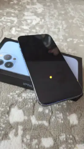 Jual Iphone 13 Pro Max