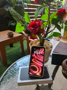 Jual iphone 11 128 ibox