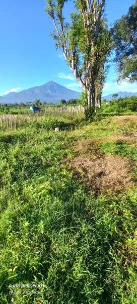 DI JUAL TANAH AREA WISATA PACET VIEW GUNUNG