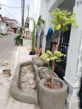 Jasa buat taman hias, tanaman , pupuk, rumput , obat batu alam