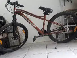 Jual Cepat Sepeda Genio M347 Second