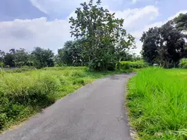 Tanah Apik Sardonoharjo Ngaglik, Dekat Pasar Rejodani Jl. Palagan, SHM