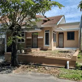 Rumah Bagus Murah Siap Huni Di Cluster Sriwijaya Lippo Cikarang