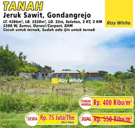 Tanah jeruk sawit Gondangrejo dekat ringroad
