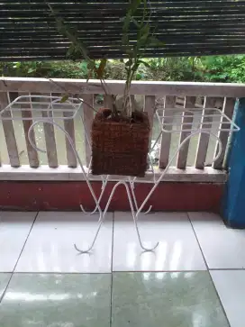 Pas bunga custom dan pot serabut kelapa