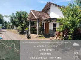 KELURAHAN NGRADIN, PADANGAN BOJONEGORO