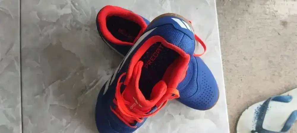 Sepatu Futsal Predator Original