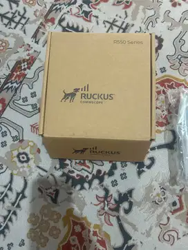 Access Point Ruckus R550