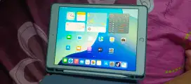 iPad 7 seri model A2197 internal 128 GB