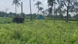 Dijual Tanah di Desa Palasari, Legok - Tangerang, Banten