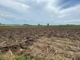 SAWAH LOKASI STARTEGIS