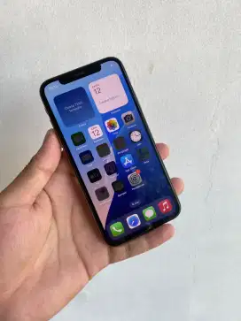 iPhone 11 Promax inter