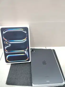 IPAD PRO M4 256GB GRAY (SUPER LIKE NEW) WIFI ONLY