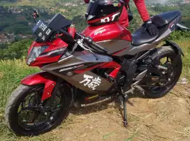 Ninja 250 SL 2018  17jt