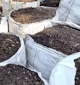 Besi krimil atau di sebut tai besi