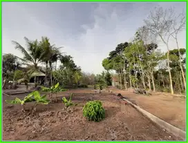 jual Tanah Sertifikat Godean Dekat RS. At-turots Islamy