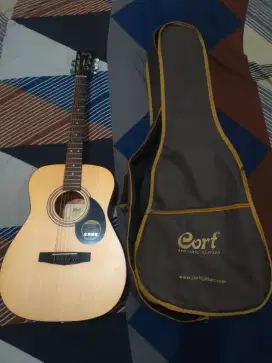 Acoustic electric