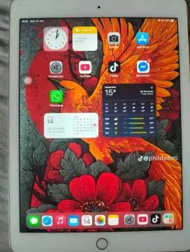 ipad air2 wificalular