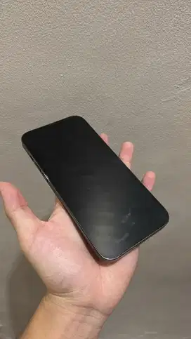 iPhone 13 Pro Max 256GB – Alpine Green