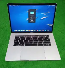 Apple MacBook Pro 2019 15inch i9 16/512 Silver Touchbar Dual VGA mulus