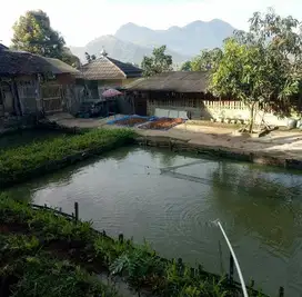 Dijual Kolam (Balong) Air langsung dari sumbernya beserta tanah darat