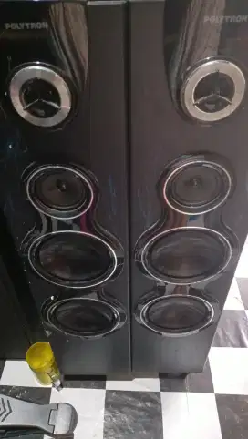 Speaker Polytron sepasang
