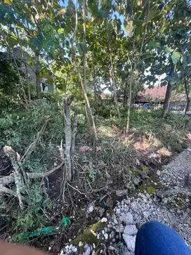 Tanah kebun 201 meter