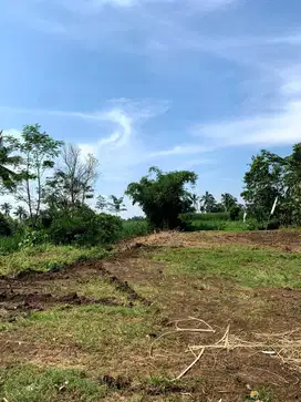 Investasi Emas! Tanah 66 m² Siap Bangun Dekat Mitra 10 & RST Soepraoen