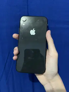 XR 64 Inter Wifi