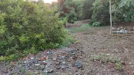 Tanah Banyumanik Karangrejo  Dekat Undip Tembalang