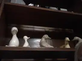 Hiasan patung bebek