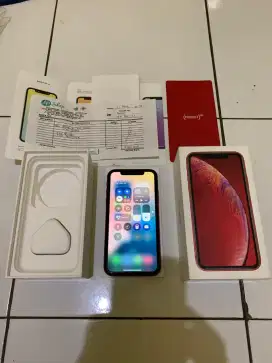 Iphone Xr 128Gb