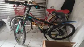 sepeda polygon second