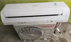 AC Sharp Bey 1/2 pk mulus