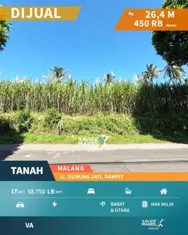 Dijual Tanah Luas Sangat Strategis di Kota Dampit Kab. Malang