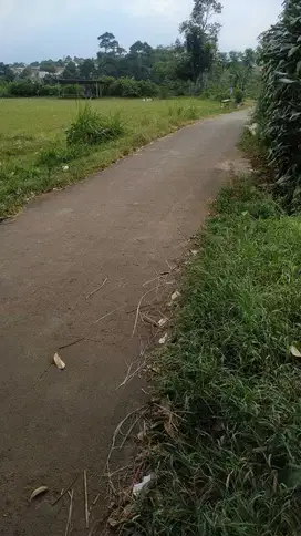 Dijual Murah Tanah Kavling Lokasi Strategis Dekat Tol Bocimi Free SHM