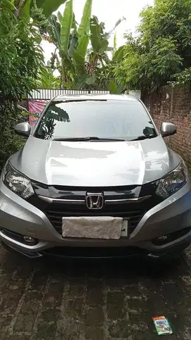 Hrv Type E Matic Silver