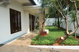 Disewakan Rumah Besar dengan Lengkap Taman dan Kolam Renang di Mampang