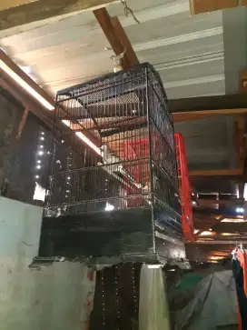 Sangkar burung masih bagus uk 40x40 jual murah bisa nego