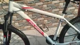 Primer 3 Polygon