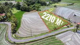 Tanah dijual Beraban Tabanan