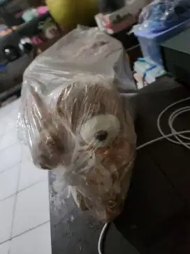Tempat tissue beruang bagus