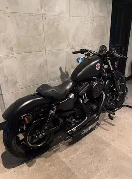Harley Davidson Sportster 883 2021