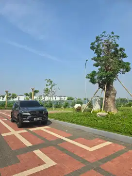 Fortuner ganteng